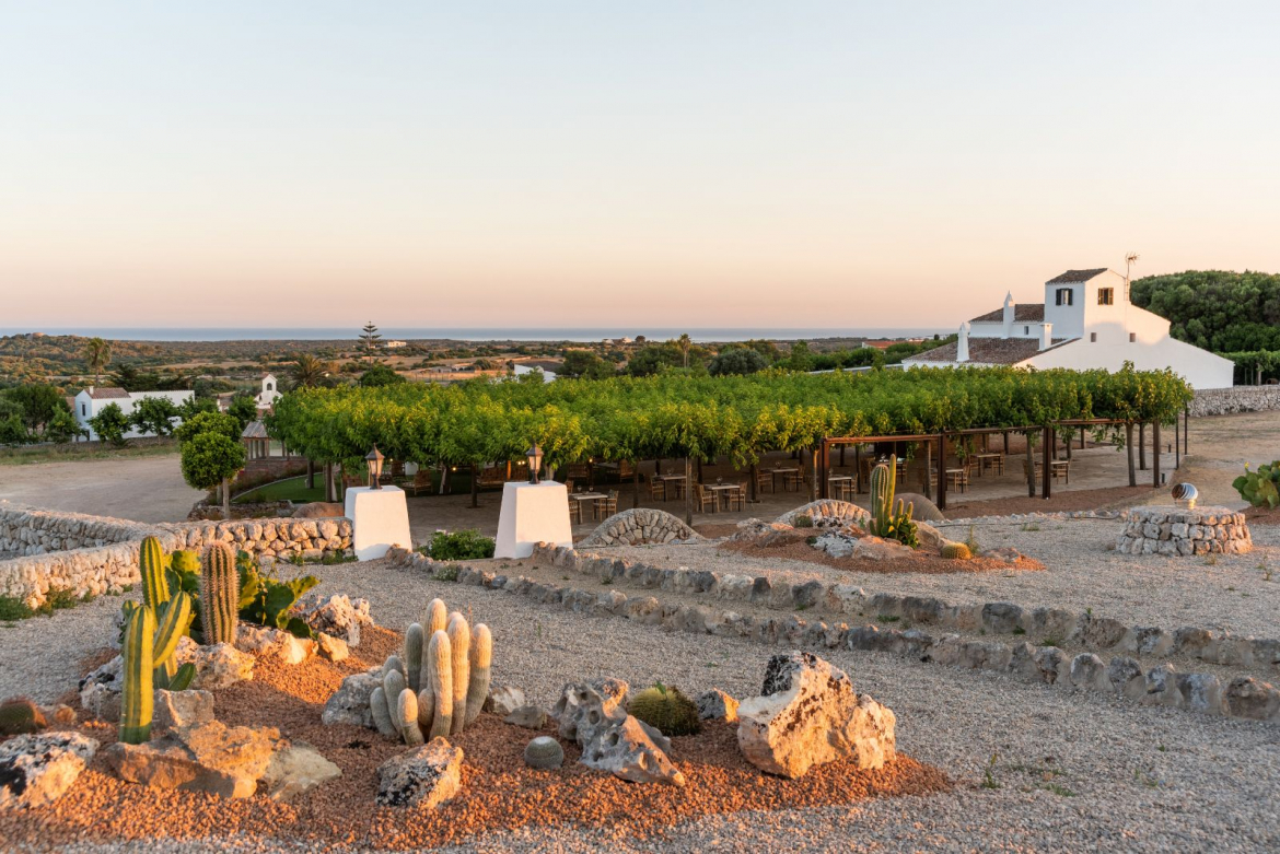 Ceremonia bajo el árbol